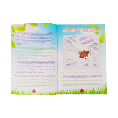 Explorateur à insectes