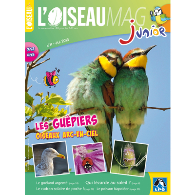L'Oiseau Magazine Junior n°11