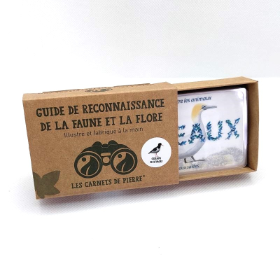 Guide de reconnaissance de la faune et de la flore - Les oiseaux de rivages