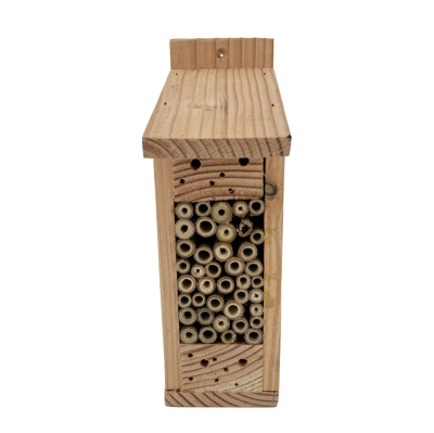 Gîte abeilles solitaires
