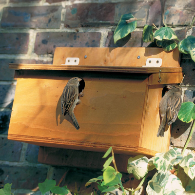 Nichoir Terrasse pour Moineaux