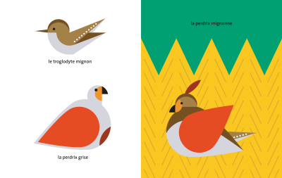 Oiseau + Oiseau, La mathématique des oiseaux