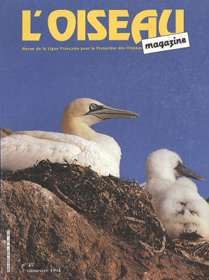 L'Oiseau Mag n° 35