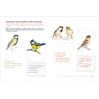 Mon cahier d'observation et d'activités, les Oiseaux