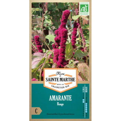 Graines Bio Amarante Elephant Rouge