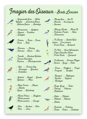 Mes Mémos rigolos, l'Oiseau et sa plume