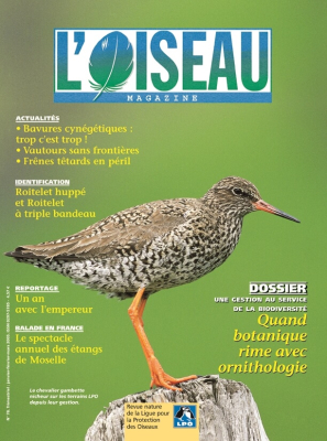L'Oiseau Mag n° 78