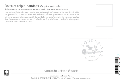 Carte postale naturaliste - Roitelet triple bandeau