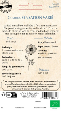 Graines Bio Cosmos Sensation varié