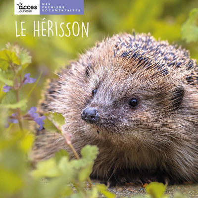 Mes premiers documentaires - Le Hérisson