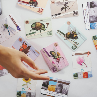 Budizz, le jeu de cartes coopératif