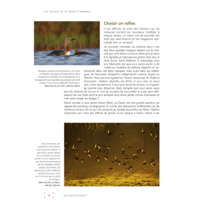 Les secrets de la photo d'animaux