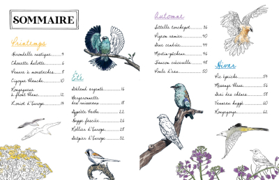 Mon carnet naturaliste à colorier - Oiseaux