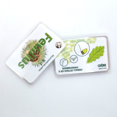 Guide de reconnaissance de la faune et de la flore - Les arbres