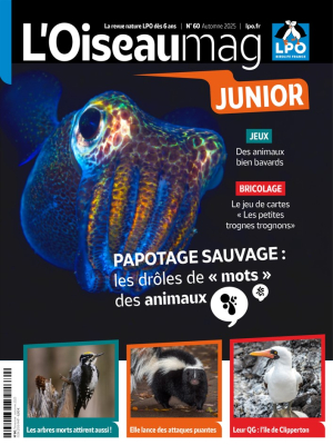 L'Oiseau Magazine Junior n°60 - Automne 2025