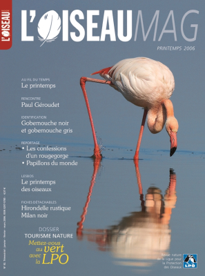L'Oiseau Mag n° 82