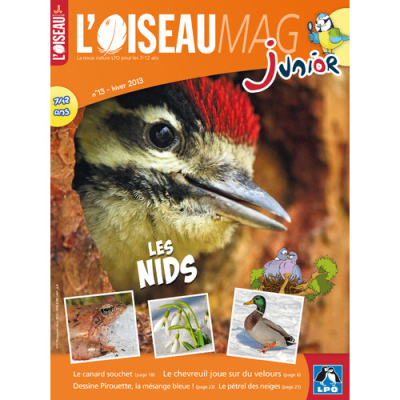 L'Oiseau Magazine Junior n°13