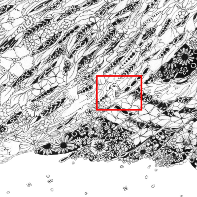 Affiche LPO 60 x 80 cm - Secrets de faune - Milan royal