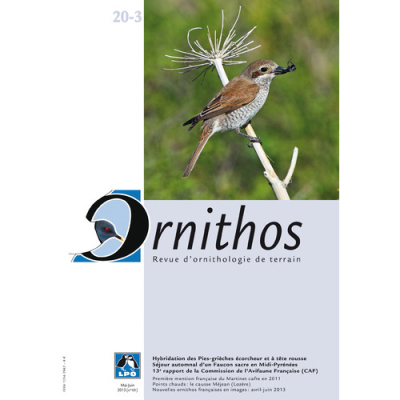 Ornithos N°20/3, Mai-Juin 2013