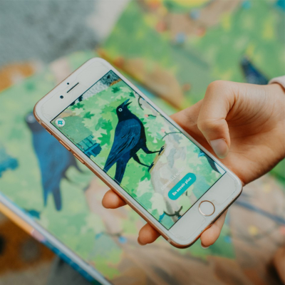 Écoute les oiseaux des villes