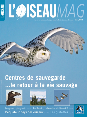 L'Oiseau Mag n° 95