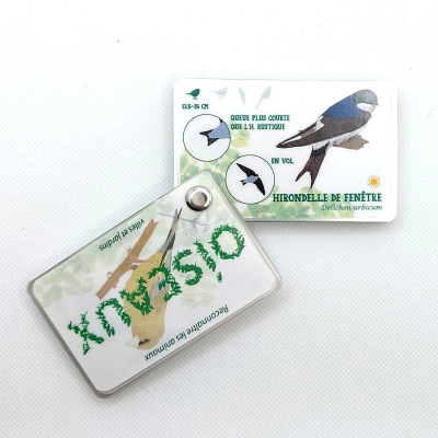 Guide de reconnaissance de la faune et de la flore - Les oiseaux des jardins