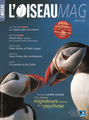 L'Oiseau Mag n° 81