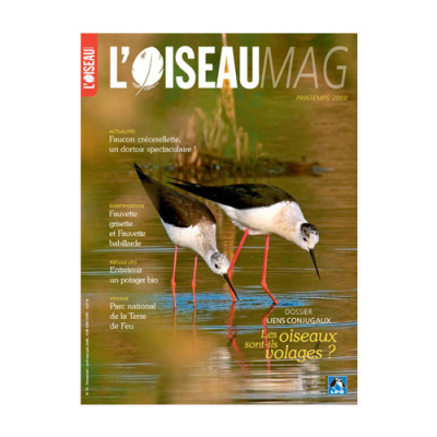 L'Oiseau Mag n° 91