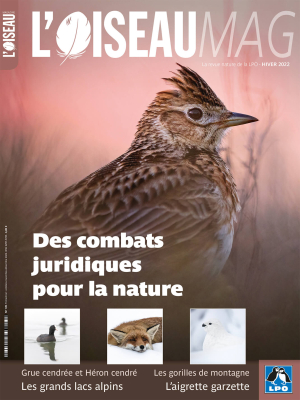L'oiseau Mag n° 149