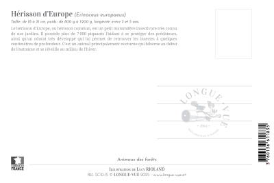 Carte postale naturaliste - Hérisson d'Europe