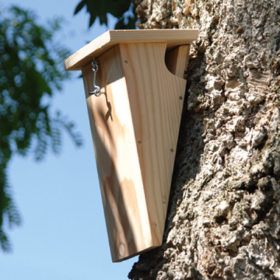 Nichoir LPO Grimpereau