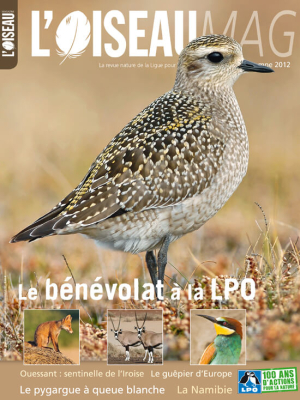 L'Oiseau Mag n°108