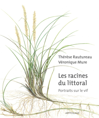 Les racines du littoral