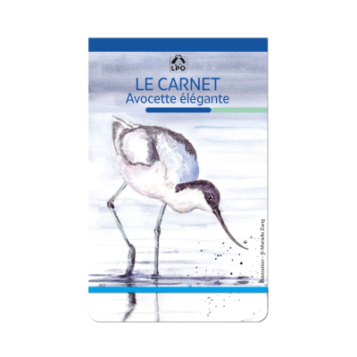 Carnet LPO - Avocette élégante