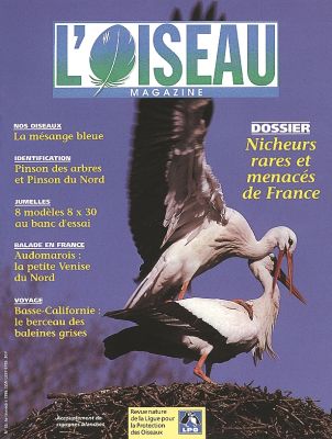 L'Oiseau Mag n° 45