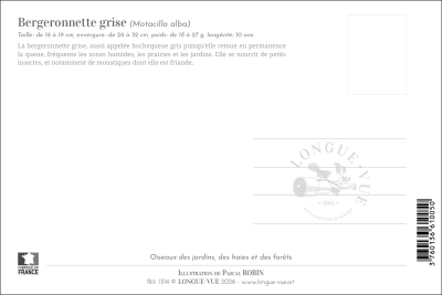 Carte Postale simple 10 x 15 cm Bergeronnette grise