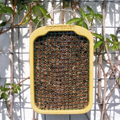 Ruche à insectes Schwegler en terre et roseau encastrable