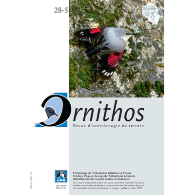Ornithos N°28/5, Septembre-Octobre 2021