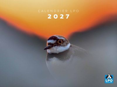 Calendrier LPO 2027 Oiseaux