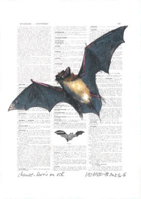 Carte postale collection d'art - Chauve-souris