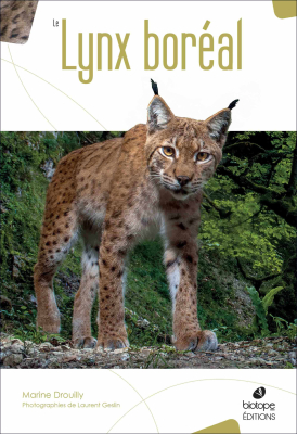 Le Lynx Boréal