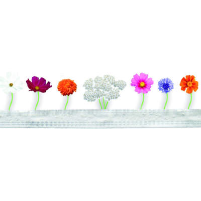 Graines bio de fleurs utiles et comestibles