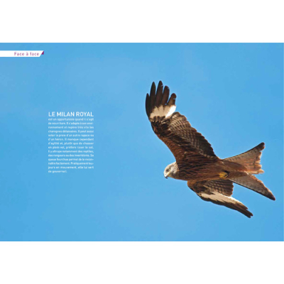 Volcans d'Auvergne, 36 belles balades, Nouvelle édition