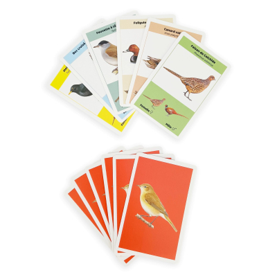 Le Pouillot ! – Associe les couples d’oiseaux