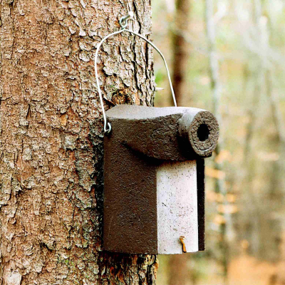 Nichoir Schwegler 3SV 34 mm