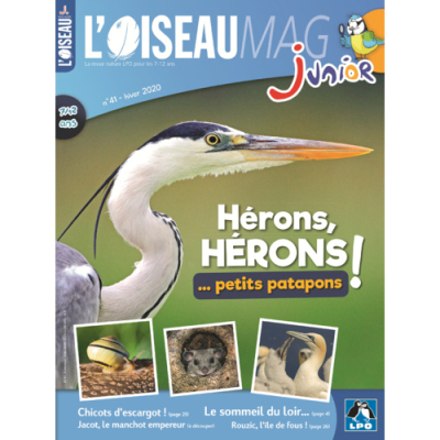 L'Oiseau Magazine Junior n°41