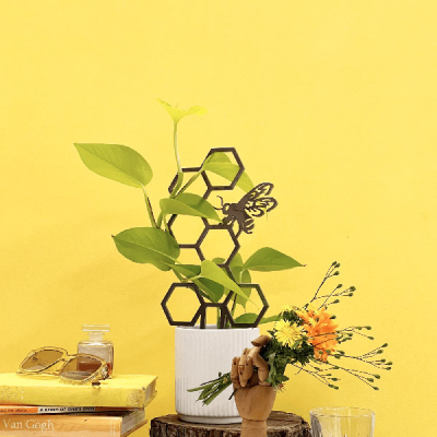 Treillis pour plante Abeille domestique