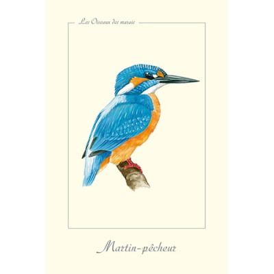 Carte Postale simple 10 x 15 cm Martin-pêcheur