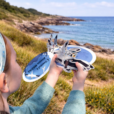 Éventail pédagogique LPO - Identifier les oiseaux marins