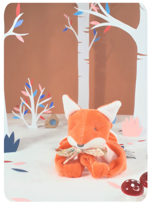 Doudou Renard